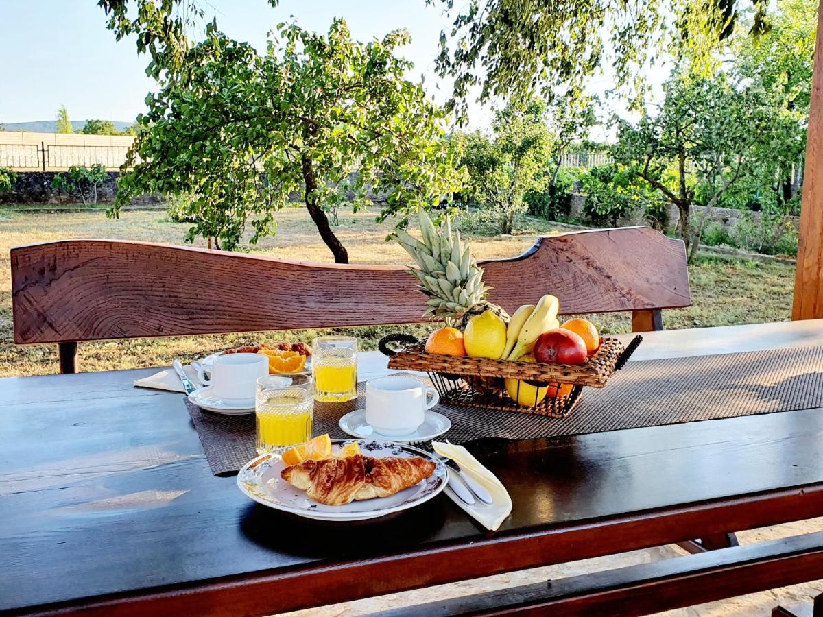 Village House Fafarinka - Close To Krka National Park Konjevrate エクステリア 写真