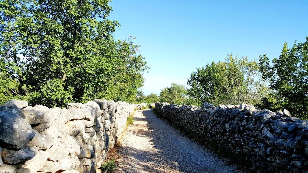 Village House Fafarinka - Close To Krka National Park Konjevrate エクステリア 写真